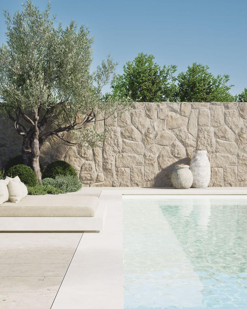 Outdoor & Pool Area