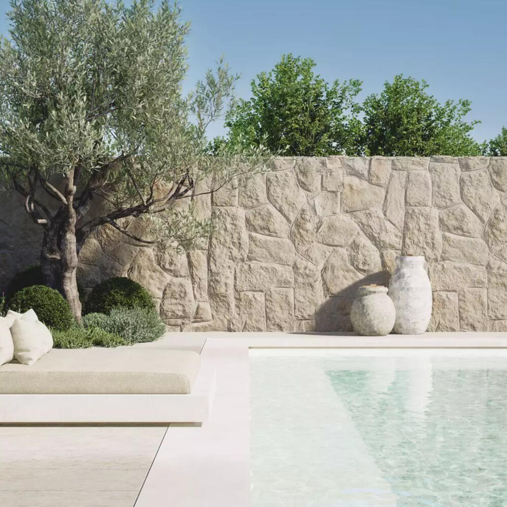 Outdoor & Pool Area